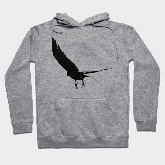 Raven - Spread Your Wings Hoodie by DyrkWyst